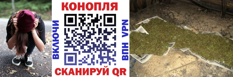 Каннабис AK-47  Чегем 